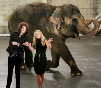 mtvawards2008-1.jpg