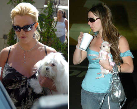 britney